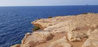 Malta - die Felsenküste bei der Blauen Grotte