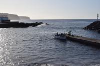 Die Fischer kommen zurück....