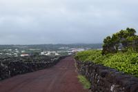 Spaziergang durch die Weinfelder