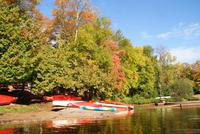 Kanufahrt Oxtongue Lake (2)