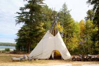 Tipi
