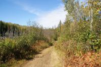 Wanderung (4)