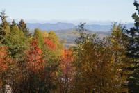 Wunderbarer Ausblick