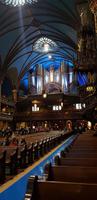 Notre Dame innen (1)
