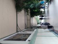 97_Meran_Winterpromenade