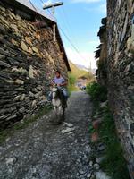 Bergdorf Ushguli, Swanetien