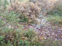 Laheema Nationalpark