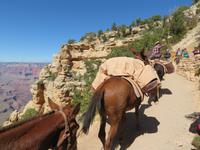 South Kaibab Trail