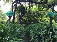 009 auf dem Weg zur Villa Jovis