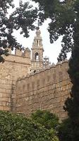 Giralda Kathedrale Sevilla