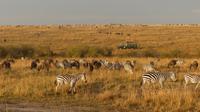Team Caleb unterwegs in der Masai Mara