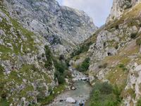 Wanderung auf der Ruta del Cares oder Cares Schlucht im Nationalpark Picos de Europa (15)
