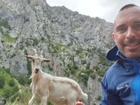 Wanderung auf der Ruta del Cares oder Cares Schlucht im Nationalpark Picos de Europa (58)