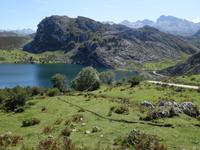 Wanderung bei den Covadonga-Seen in Picos de Europa (51)