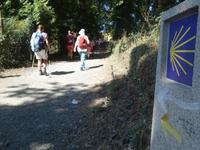 Wanderung auf dem Jakobsweg von Arzua nach Arca (6)