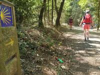 Wanderung auf dem Jakobsweg von Arzua nach Arca (7)