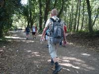 Wanderung auf dem Jakobsweg von Arzua nach Arca (11)
