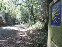 Wanderung auf dem Jakobsweg von Arzua nach Arca (14)