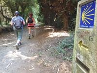 Wanderung auf dem Jakobsweg von Arzua nach Arca (31)