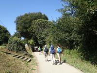 Wanderung auf dem Jakobsweg (3)