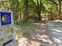 Wanderung auf dem Jakobsweg (23)