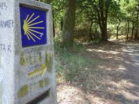 Wanderung auf dem Jakobsweg (24)