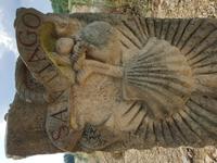 Wanderung auf dem Jakobsweg (37)