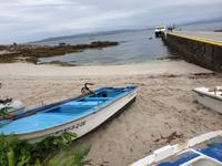  Ausflug mit Wanderung auf der Insel Ons im Nationalpark Illas Atlanticas (13)