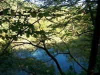 Im Nationalpark der Plitwitzer Seen 