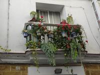 Cadiz - Bummel durch die Altstadt, Fensterschmuck