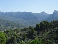 Mallorca - Blick auf das Tramuntana - Gebirge