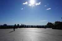 022 Mont Royal