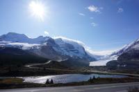 320 Athabasca Gletscher