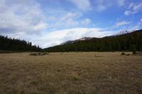 334 Lichtung beim Maligne Lake
