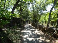 Sierra de Aracena (24)