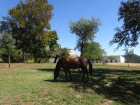 Sierra de Aracena (34)