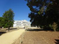 Donana (15)