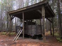 Algonquin Park - Spaziergang auf dem Logging Trail