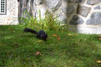 Fahrt nach La Malbaie - Zwischenstopp an der Basilika Notre-Dame-du-Cap