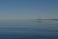 Walbeobachtung in Tadoussac - Dort sehen wir Zwergwale, Buckelwale und sogar Finnwale