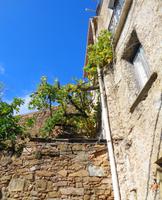 Italien - Nationalpark Cilento - Pollica