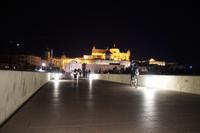 Mezquita-Catedral bei Nacht