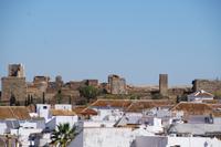 Alcázar de Pedro el Cruel 