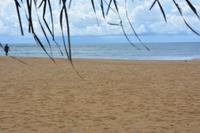 8 Schaukochen mit Strandblick