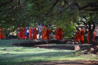 45 Buddhistische Mönche Löwenfelsen Sigiriya