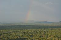 57 Löwenfelsen Sigiriya