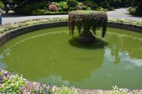 167 Botanischer Garten Peradeniya