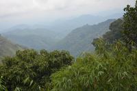 247 Region Adams Peak