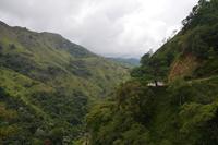 250 Region Adams Peak