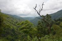 253 Region Adams Peak
